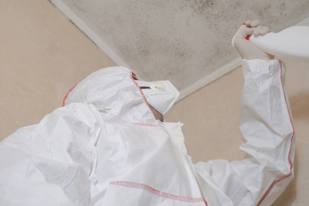 Best Mold Remediation for Specific Building Types in Firthcliffe, NY